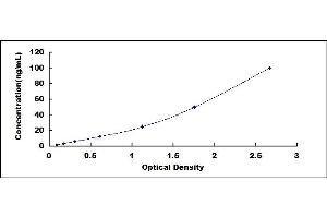 Typical standard curve (GGT1 Kit ELISA)
