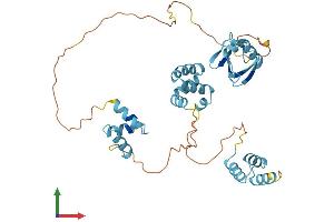 AlphaFold protein structure predicition of Mouse Recombinant Rad23a Protein, UniprotID P54726