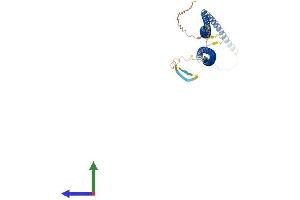 AlphaFold protein structure predicition of Mouse Recombinant Krt20 Protein, UniprotID Q9D312