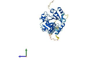 AlphaFold protein structure predicition of Mouse Recombinant St6galnac6 Protein, UniprotID Q9JM95