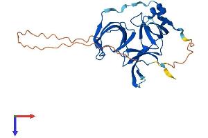 AlphaFold protein structure predicition of Human Recombinant SPIN2B Protein, UniprotID Q9BPZ2