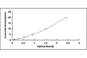 Typical standard curve (S100A14 Kit ELISA)