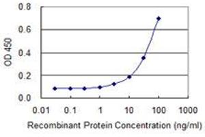 anti-Acidic Repeat Containing (ACRC) (AA 592-691) antibody