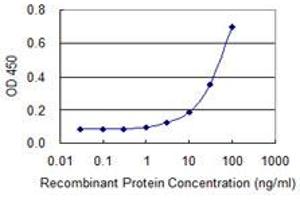 Detection limit for recombinant GST tagged ACRC is 1 ng/ml as a capture antibody. (ACRC anticorps  (AA 592-691))