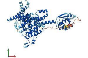AlphaFold protein structure predicition of Mouse Recombinant Slc26a11 Protein, UniprotID Q80ZD3
