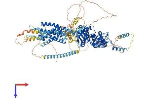 AlphaFold protein structure predicition of Mouse Recombinant Kcnh1 Protein, UniprotID Q60603