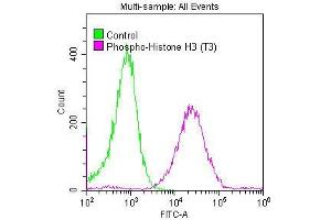 Overlay histogram showing Hela cells stained with ABIN7127311 (red line) at 1:50.