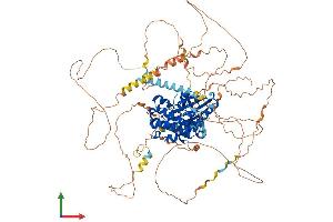 AlphaFold protein structure predicition of Mouse Recombinant Sik2 Protein, UniprotID Q8CFH6