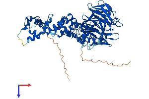 AlphaFold protein structure predicition of Human Recombinant KLHL10 Protein, UniprotID Q6JEL2
