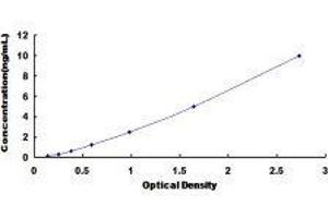 ELISA image for Large Proline-Rich Protein BAT3 (BAT3) ELISA Kit (ABIN431220)