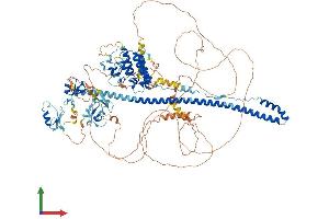 AlphaFold protein structure predicition of Human Recombinant TRIM24 Protein, UniprotID O15164