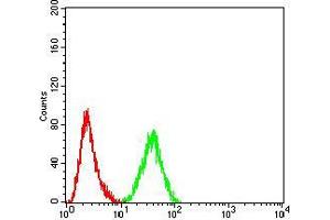 Flow cytometric analysis of Hela cells using PELP1 mouse mAb (green) and negative control (red).