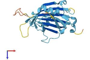 AlphaFold protein structure predicition of Mouse Recombinant Rangrf Protein, UniprotID Q9JIB0