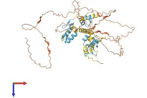 AlphaFold protein structure predicition of Mouse Recombinant Ikzf1 Protein, UniprotID Q03267