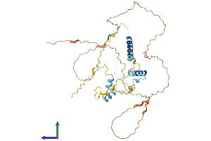 AlphaFold protein structure predicition of Mouse Recombinant S100pbp Protein, UniprotID Q9D5K4