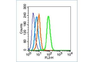 HepG2 cells were fixed with 70% ice-cold methanol overnight at 4℃, permeabilized with 90% ice-cold methanol for 20 min at -20℃, and incubated in 5% BSA blocking buffer for 30 min at room temperature.
