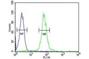 ABCD1 antibody flow cytometric analysis of HL-60 cells (right histogram) compared to a negative control (left histogram).
