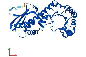 AlphaFold protein structure predicition of Mouse Recombinant Qprt Protein, UniprotID Q91X91