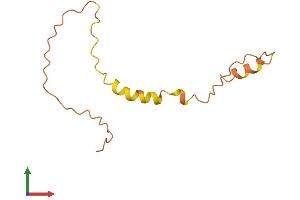 AlphaFold protein structure predicition of Human Recombinant TSPO Protein, UniprotID B1AH88