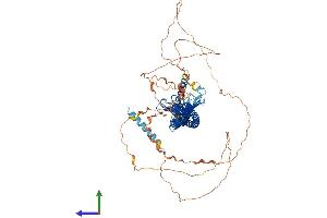 AlphaFold protein structure predicition of Mouse Recombinant Jph2 Protein, UniprotID Q9ET78