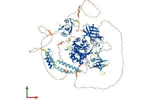 AlphaFold protein structure predicition of Human Recombinant INPP5D Protein, UniprotID Q92835