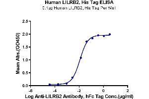 Immobilized Human LILRB2, His Tag at 1 μg/mL (100 μL/Well) on the plate.