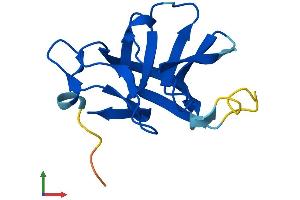 AlphaFold protein structure predicition of Human Recombinant RABIF Protein, UniprotID P47224