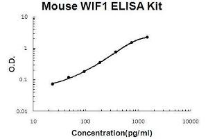 Mouse WIF1 PicoKine ELISA Kit standard curve (WIF1 Kit ELISA)