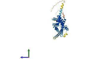 AlphaFold protein structure predicition of Mouse Recombinant Mtnr1b Protein, UniprotID Q8CIQ6