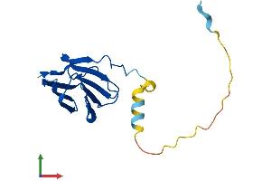AlphaFold protein structure predicition of Mouse Recombinant Ptges3 Protein, UniprotID Q9R0Q7