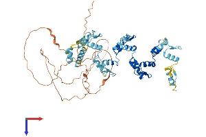 AlphaFold protein structure predicition of Human Recombinant ZNF10 Protein, UniprotID P21506