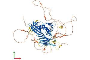 AlphaFold protein structure predicition of Human Recombinant STON1 Protein, UniprotID Q9Y6Q2