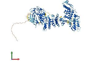 AlphaFold protein structure predicition of Human Recombinant HERC5 Protein, UniprotID Q9UII4