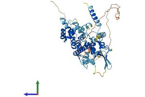 AlphaFold protein structure predicition of Mouse Recombinant Micu1 Protein, UniprotID Q8VCX5