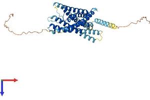 AlphaFold protein structure predicition of Mouse Recombinant Gpr34 Protein, UniprotID Q9R1K6