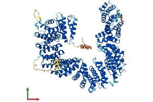 AlphaFold protein structure predicition of Human Recombinant TBCD Protein, UniprotID Q9BTW9
