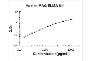 Myelin Associated Glycoprotein (MAG) ELISA Kit