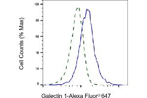 Validation of Galectin 1 knockdown using flow cytometry. (Recombinant LGALS1/Galectin 1 anticorps)