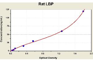 Diagramm of the ELISA kit to detect Rat LBPwith the optical density on the x-axis and the concentration on the y-axis. (LBP Kit ELISA)