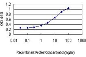 Detection limit for recombinant GST tagged FOXC2 is approximately 0.