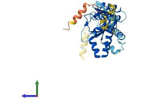 AlphaFold protein structure predicition of Mouse Recombinant Popdc3 Protein, UniprotID Q9ES81