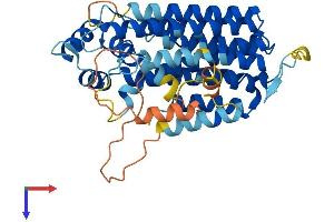 AlphaFold protein structure predicition of Mouse Recombinant Pdss2 Protein, UniprotID Q33DR3