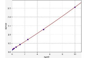 Typical standard curve (CDK2 Kit ELISA)