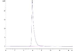 The purity of Human Siglec-4a is greater than 95 % as determined by SEC-HPLC.