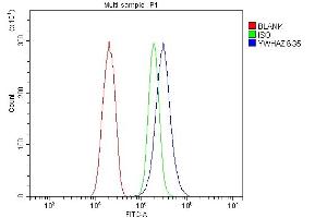 Flow Cytometry analysis of SiHa cells using anti-14-3-3 zeta/delta antibody (ABIN7602973).