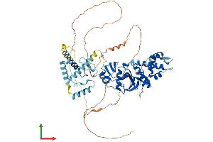 AlphaFold protein structure predicition of Human Recombinant KAT7 Protein, UniprotID O95251