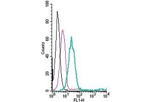 Cell surface detection of TRPM6 by direct flow cytometry in live intact human  monocytic leukemia cells: + Rabbit IgG Isotype Control-FITC (ABIN7582044).