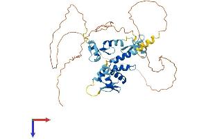AlphaFold protein structure predicition of Human Recombinant ZBTB8A Protein, UniprotID Q96BR9