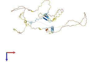 AlphaFold protein structure predicition of Human Recombinant CDC42EP4 Protein, UniprotID Q9H3Q1