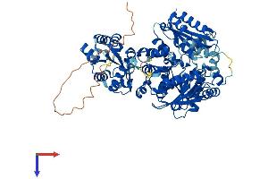 AlphaFold protein structure predicition of Human Recombinant THNSL1 Protein, UniprotID Q8IYQ7